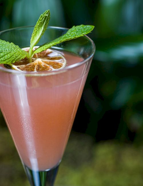 A pink cocktail garnished with a slice of fruit and mint leaves, served in a clear glass.