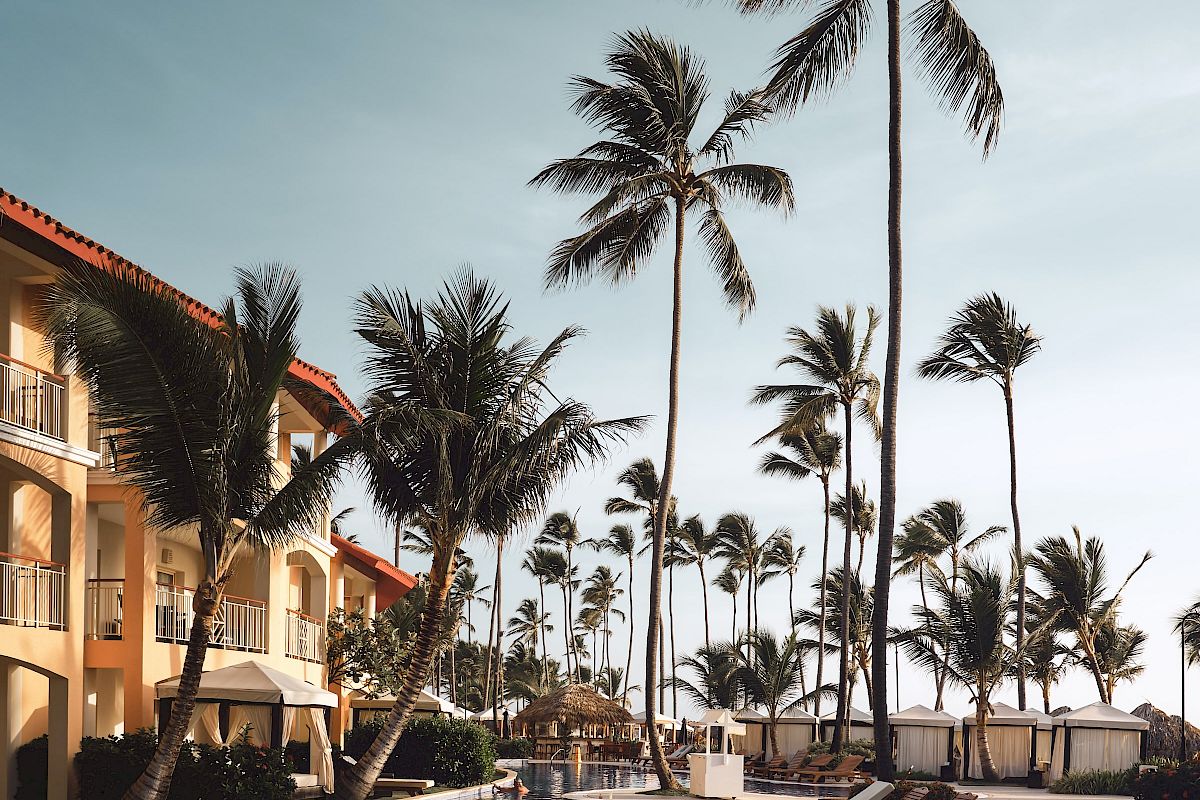The image shows a serene resort setting with a pool, surrounded by lounge chairs and tall palm trees under a clear sky.